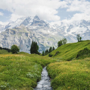 Après-midi verdoyante en Suisse